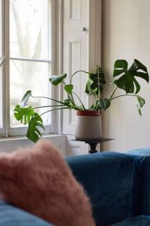 Germaine Greer's Legacy Flat in Hyde Park, Central London - Londen - 8
