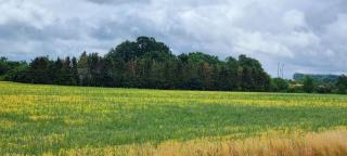 Reethaus "53 Nord" - Zierow - 2