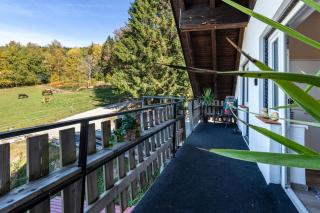 Fuchswiese - Thurmansbang - 9