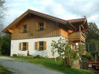 Ponyhof Killinger - Zwiesel - 1