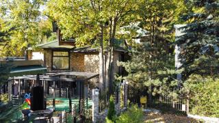 Hillden Lodge &Restaurant - Bran - 8
