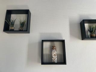 St Bruno - Studio « Palmiers » - Grenoble - 9