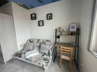 St Bruno - Studio « Palmiers » - Grenoble - 8