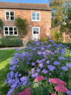 Hop Pickers Cottage - Little Marcle - 0