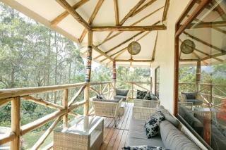 Gorilla Safari Lodge - Rubuguli - 8