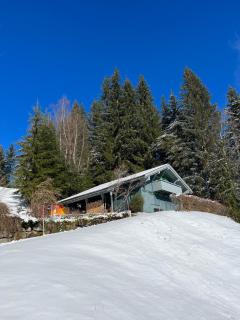 Bregenzerwald Ferienhaus - Egg - 9