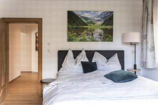 Appartement Monika - Neukirchen am Grossvenediger - 1
