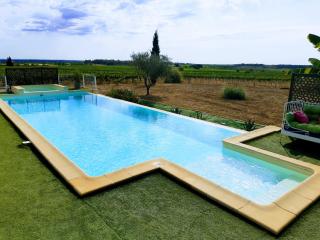 "Domaine 1902"piscine,billard,boulodrome,14 pers - Servian - 9