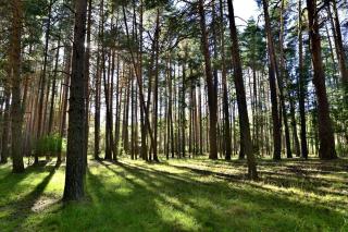 Aventura & Relax Cabañas Peña la Higuera - 1