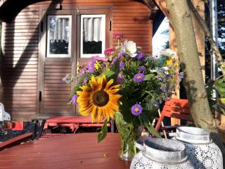 Historischer Zirkuswagen mit Terrasse und Blick ins Grüne - 9