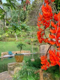 Casas D’Água Doce - Casa da Árvore - Ilhabela - 2