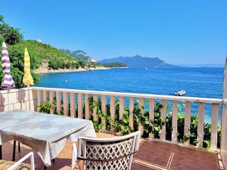 Apartment Jelka-3 by Interhome - Trstenik - 3