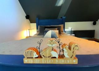Serenity Lodge - - 5