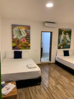 Hotel Agroturistico Palma Vino - Arboletes - 4