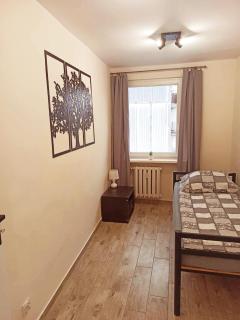 APARTAMENT CENTRUM Międzychód - Międzychód - 9