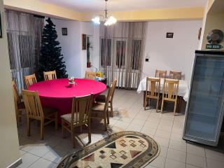 Pension Nicoleta - Costeşti - 9
