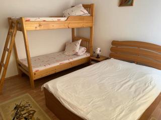 Pension Nicoleta - Costeşti - 3