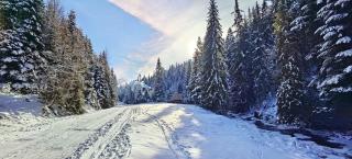 Bacówka Polanki - 7