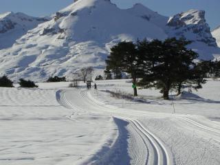 CHALET LUXE, 8-10 Pers, Parking, Sauna, Wifi, Netflix, Recommandé par locataires - Le Dévoluy - 1