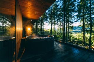 Forest Lodges - Betws-y-coed - 4