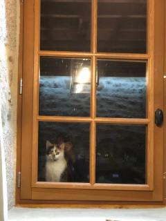 La petite Maison du Bonheur & Jacuzzi - - 8