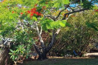 Ocean High - Yamba - 1