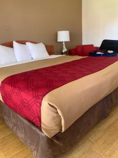 Garden Inn & Suites Oakland Airport - Oakland - 3
