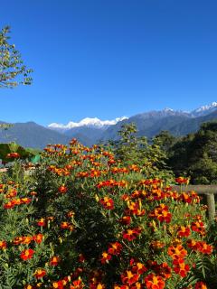 Ifseen Villa - Pelling - 5
