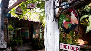 Budarno Homestay - Yogyakarta - 6