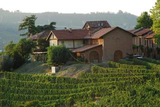 Tenuta Montanello B&B - Castiglione Falletto - 3