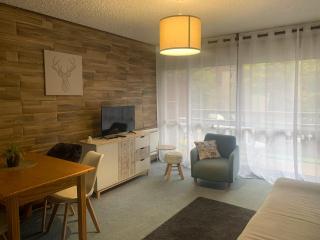 Studio de 32 m2 pour 3 personnes pied des pistes - Les Deux Alpes - 0