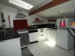 Appartement mansardé et climatisé 50 m2 - Pompignan - 2