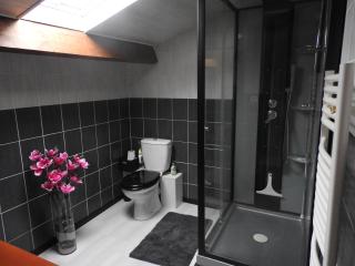 Appartement mansardé et climatisé 50 m2 - Pompignan - 5