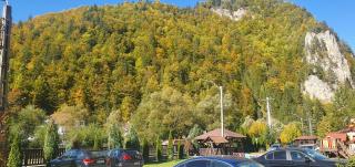 Pensiunea Cezar-Codrin - 8