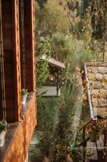 Chalet Mignon - Aproka adorable small guest house - Sicasău - 4