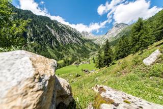 Alm Chalet Oberkofl - 3