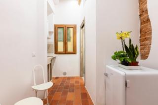 Central cool apt S. Spirito, AC - Florence - 4