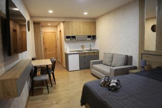 The Valley Residence & Spa - N410 - Bakuriani - 9