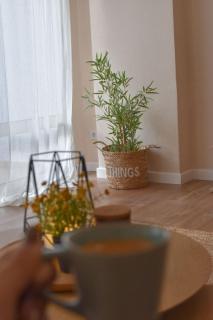 MH apartment, free parking, flexible check in - Tirana - 5