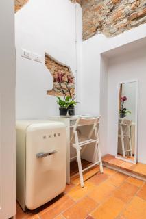 Central studio S. Spirito, AC - Florence - 8