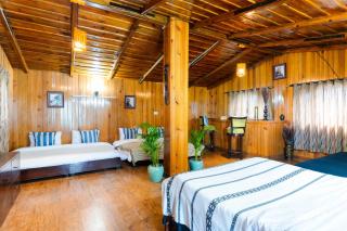 Poetry by the Hills - House Of Hive, Ramgarh, Mukteshwar, Nainital - 1