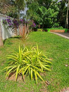 Shamrock Inn - Cochin - 6