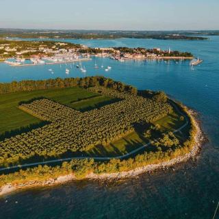 Apartmani Karpinjan - Novigrad - 4