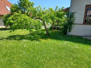 Apartmán Radenice - 8