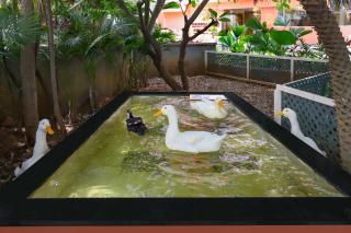 Lemon Tree Suites, Whitefield, Bengaluru - Bangalore - 3