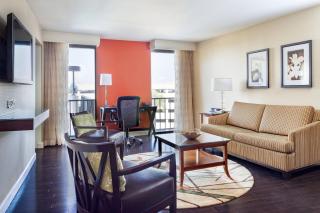Tampa Airport Marriott - Tampa - 3
