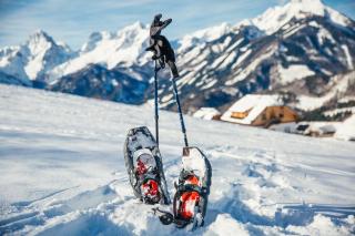 Almresort Baumschlagerberg - 5