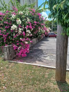 Vantage Place - Kingston - 9