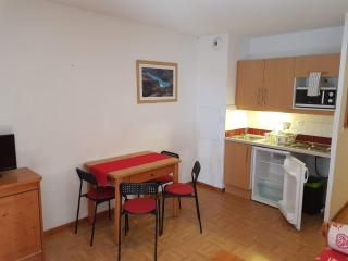 Le studio 1800 aux pieds des pistes - Puy-Saint-Vincent - 3