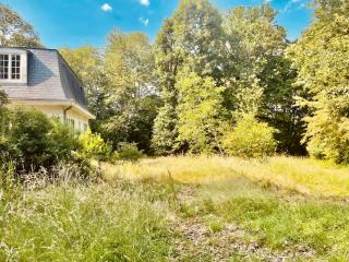 Chambre d'hôtes Parc de BUC - 3